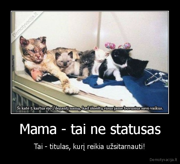 mama,siurpi, istorija,liudna, istorija,apdegusi, kate