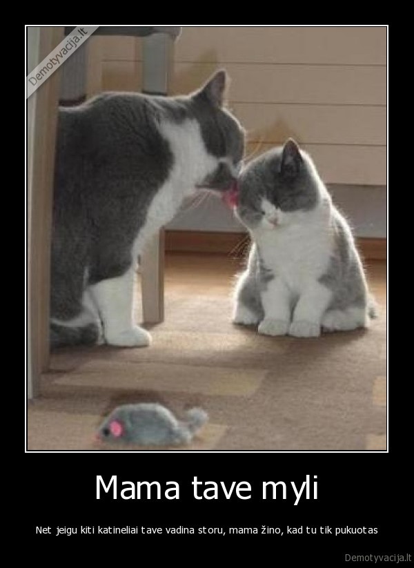 kates, miela, mama, tave, myli