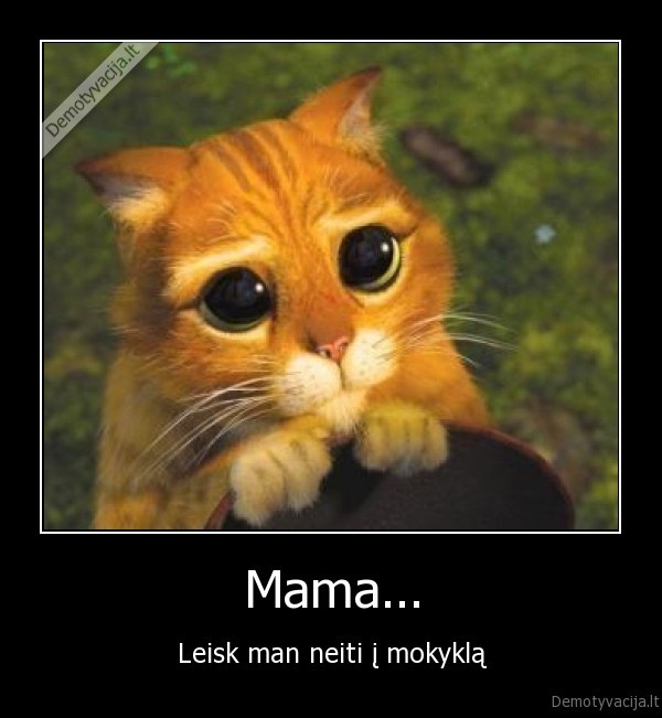 mokykla