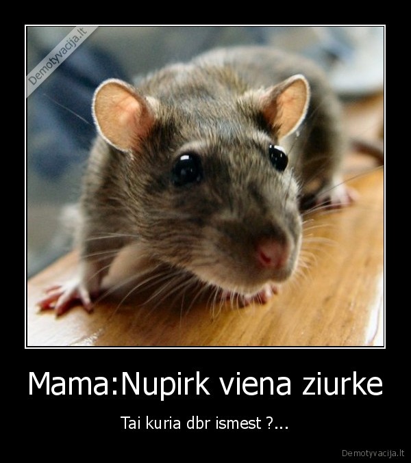 Mama:Nupirk viena ziurke