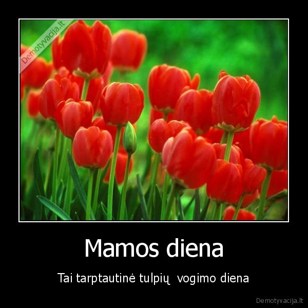mamos, diena