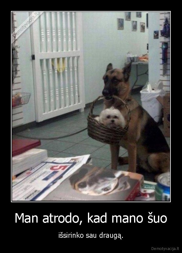 suo,draugas