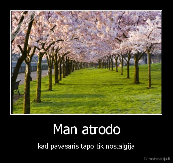 Man atrodo