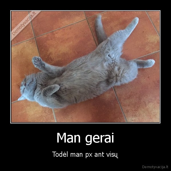 Man gerai