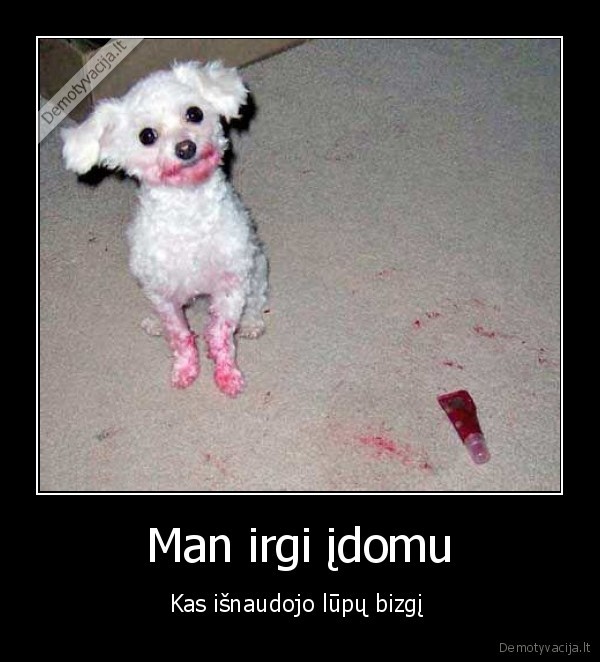 suo,blizgis,juokinga