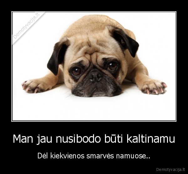 Man jau nusibodo būti kaltinamu