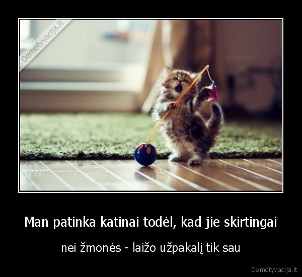 katinas,zmones