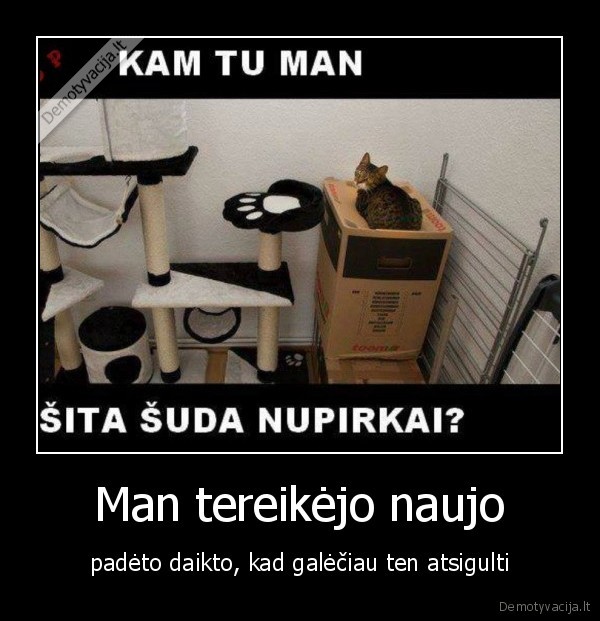 Man tereikėjo naujo