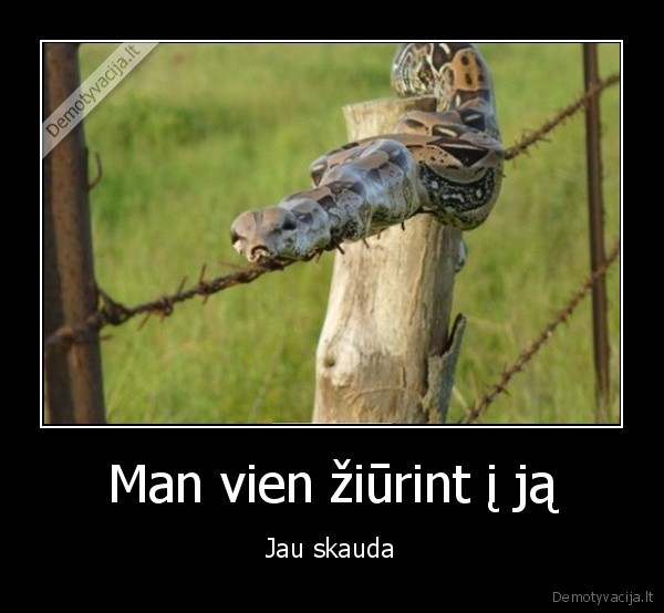 gyvate,tvora
