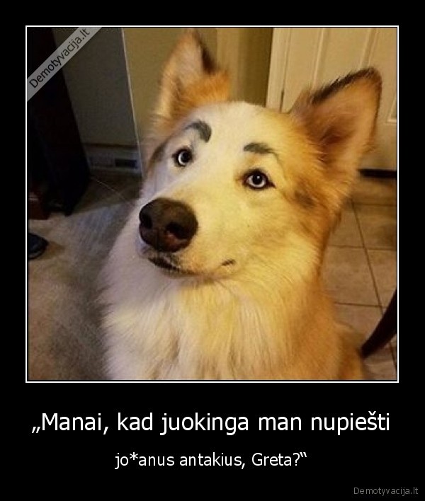 suo,antakiai,greta