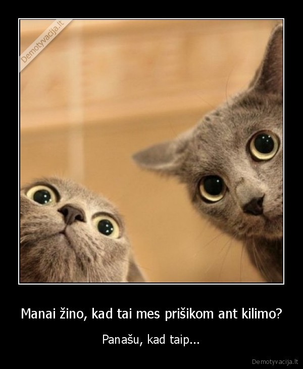 Manai žino, kad tai mes prišikom ant kilimo?