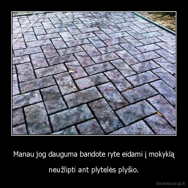 Manau jog dauguma bandote ryte eidami į mokyklą