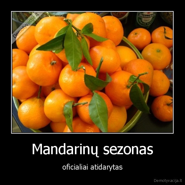 mandarinu, akcija, maximoj
