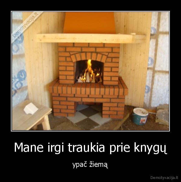 vaikas, ziema, knygos
