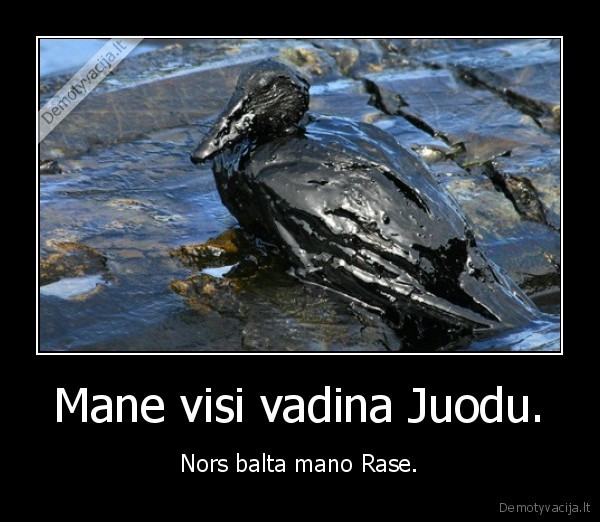 baltas, juodas