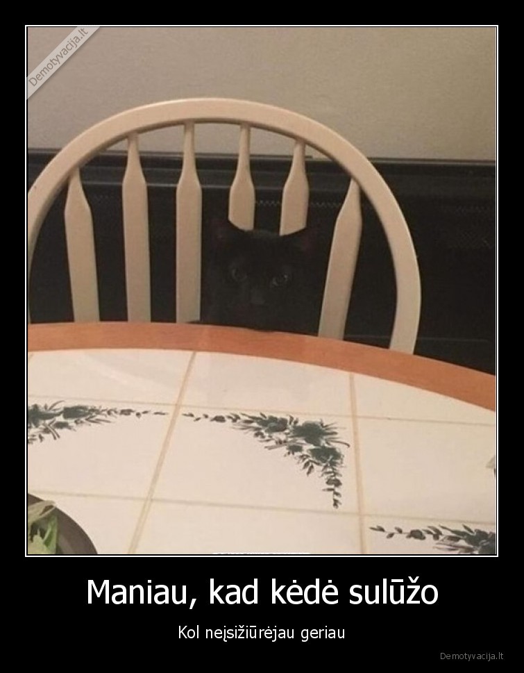 katinas, ant, kedes