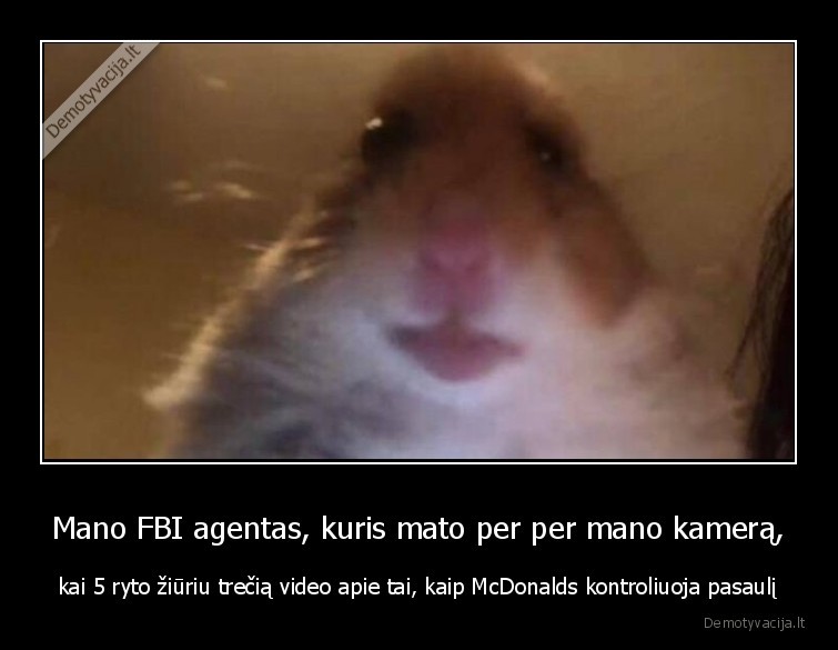 mcdonalds,macdonaldas,fbi,agentai,stebi