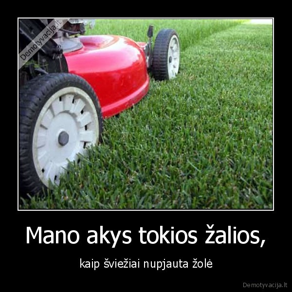Mano akys tokios žalios,