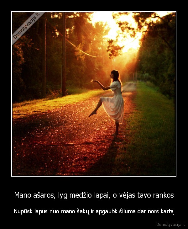 santykiai, emotyvacija, meile