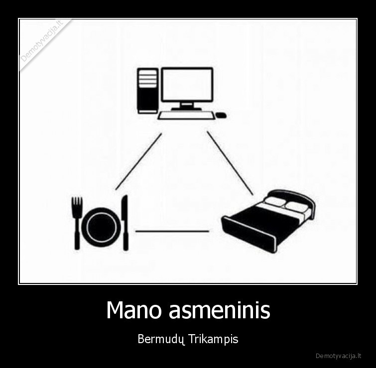 bermudu, trikampis,valgyti,miegoti,dirbti
