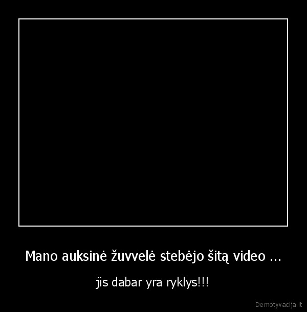 o, kiek, tu, idedi, pastangu, del, norimo, dalyko