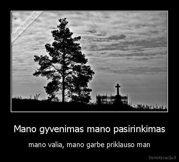 life, gyvenimas