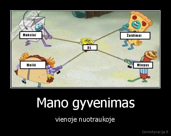 gyvenimas,istorija
