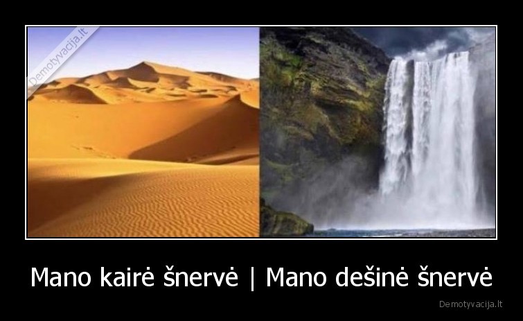sloga,nosis