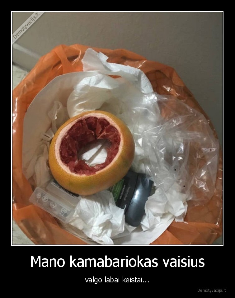 vaisiai,kambariokas,wtf,fail