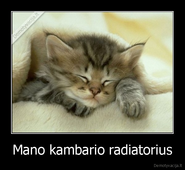 Mano kambario radiatorius