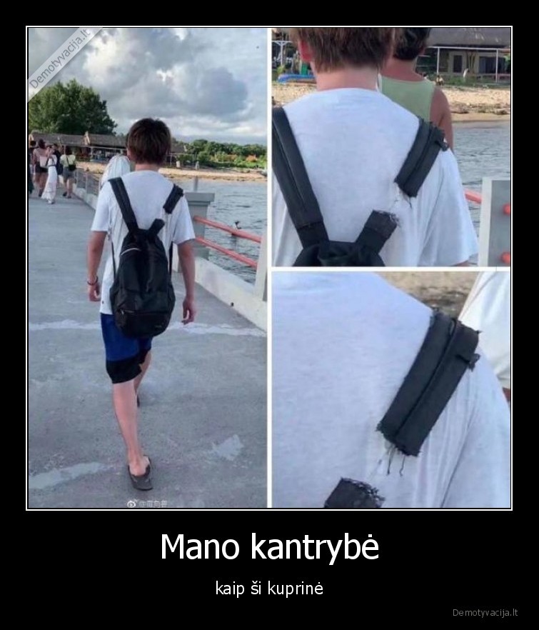 kantrybe,kuprine,ant, siulo