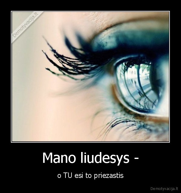 liudesys