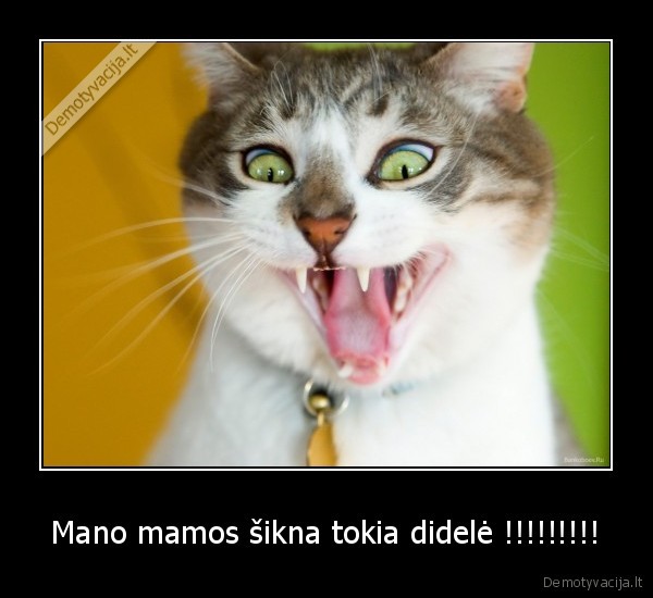 Mano mamos šikna tokia didelė !!!!!!!!!
