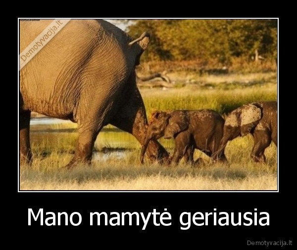 Mano mamytė geriausia