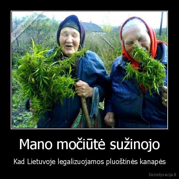 kanapes,zole,lietuva,mociute