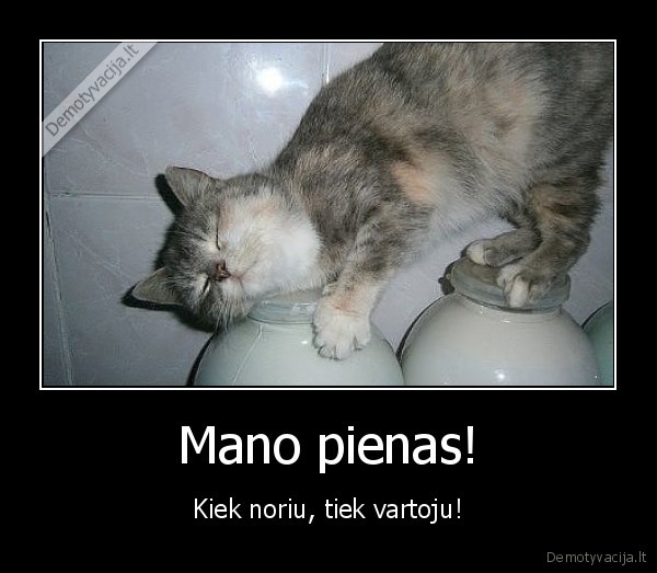 peinas,katinas