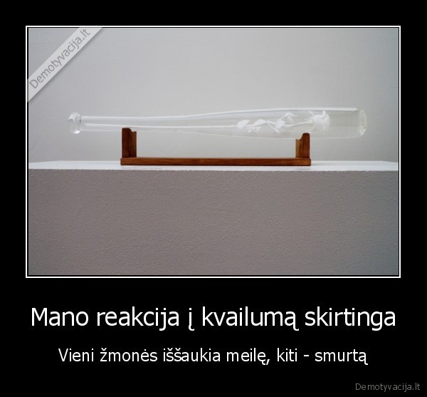 Mano reakcija į kvailumą skirtinga