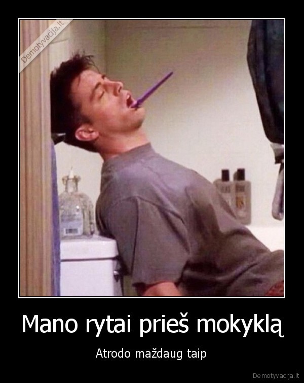 rytas,mokykla,mokslai,tingi