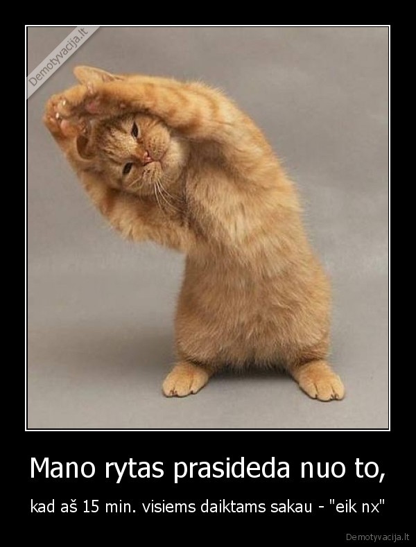 rytas,prasideda,pyktas