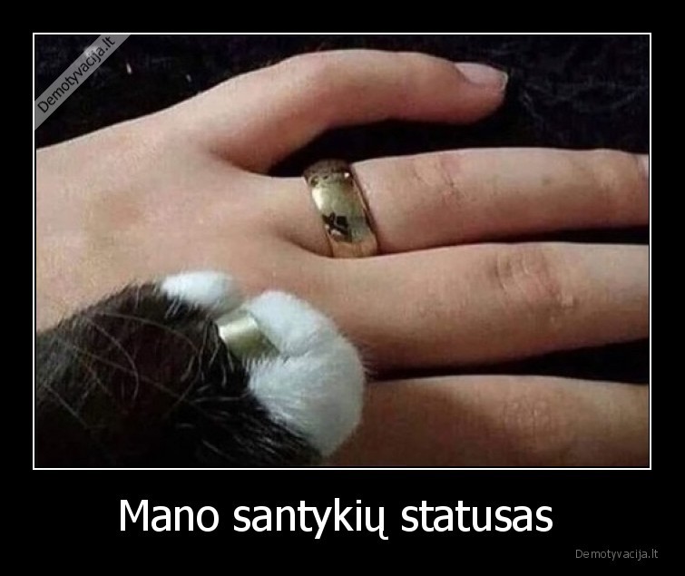katinas,nepriklausoma, moteris,meile