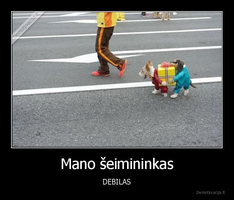suo,seimininkas,debilas