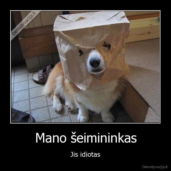 seimininkas,idiotas