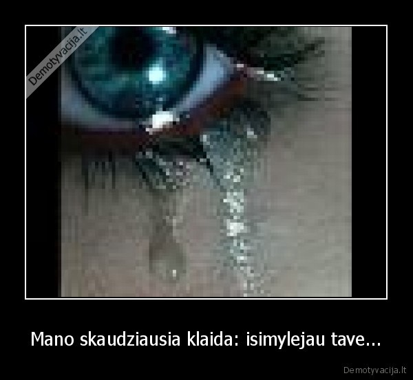 Mano skaudziausia klaida: isimylejau tave...