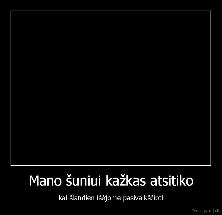 suo,augintiniai,gyvunai,pasivaiksciojimas