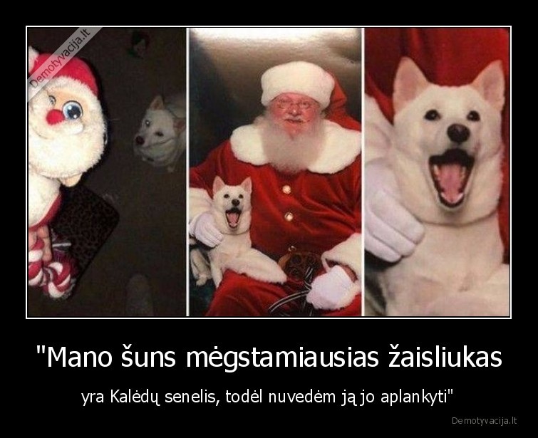suo,kaledu, senelis,laime