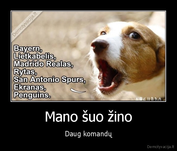 suns, komandos,suo