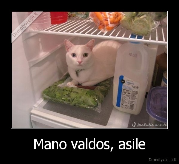Mano valdos, asile