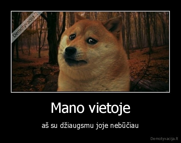 vieta