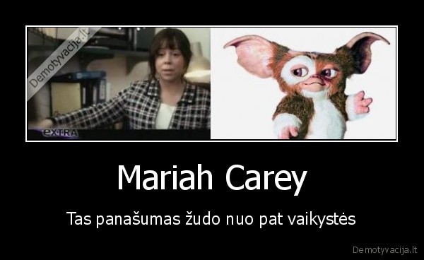 gizmo, kaka,mariah, carey,gremlinai