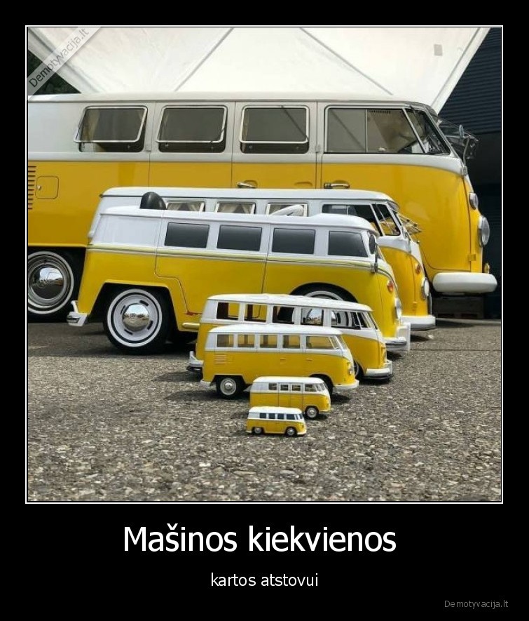 kartos,masinos,vabalai